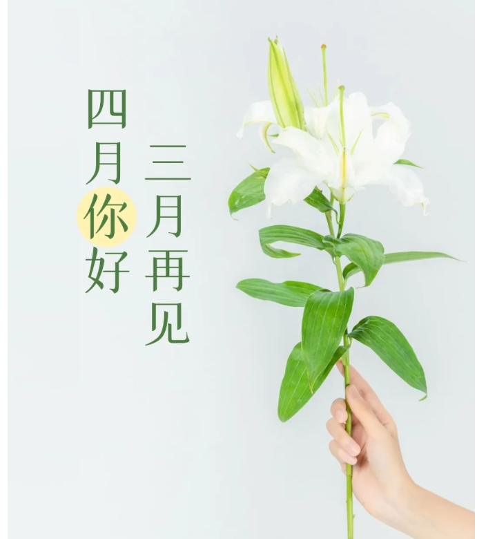 1648858196507832.png image.png